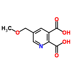 Ácido 5-(metoximetil)piridina-2,3-dicarboxílico fabricante, proveedor