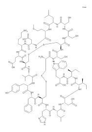 Endothelin 1