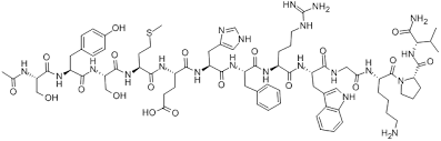 Alpha-Melanocyte Stimulating Hormone
