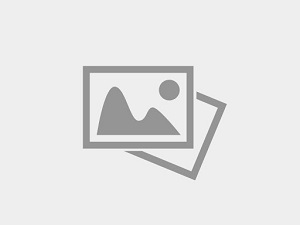 Optical Brightening Agent CDX