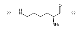 Epsilon-Polylysine