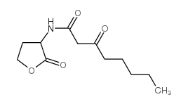 N-(3-Oxooctanoyl)-DL-Homoserine Lactone fabricante, fornecedor