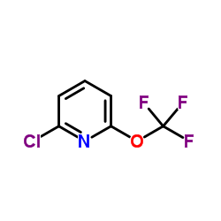 2-Cloro-6-(trifluorometoxi)piridina fabricante, fornecedor