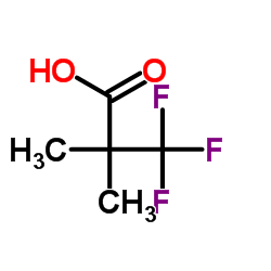 3,3,3-Trifluor-2,2-dimethylpropansäure Hersteller, Lieferant