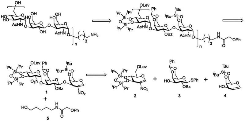 Retrosynthetic analysis of Proteus O-antigen trisaccharide showing the disconnection into nitroglucene donor and acceptor units