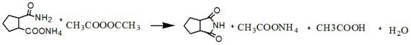 Novel acetic anhydride mediated cyclization route for 1,2-cyclopentanediimide synthesis