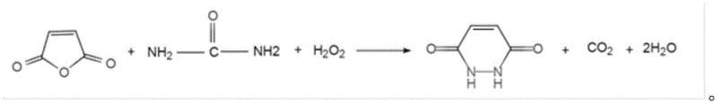 Reaction scheme showing the synthesis of 1,2-dihydro-3,6-pyridazinedione from maleic anhydride, urea, and hydrogen peroxide