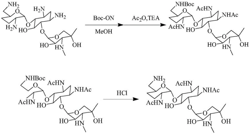 Reaction scheme showing the selective Boc protection and acetylation pathway for Gentamicin C1a