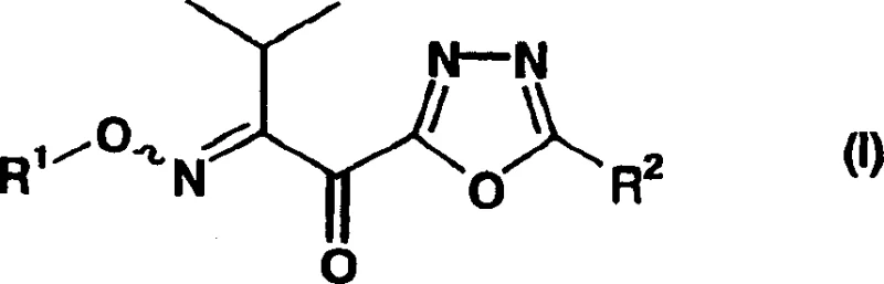 Core coupling reaction showing Formula II reacting with Formula III to form Formula I