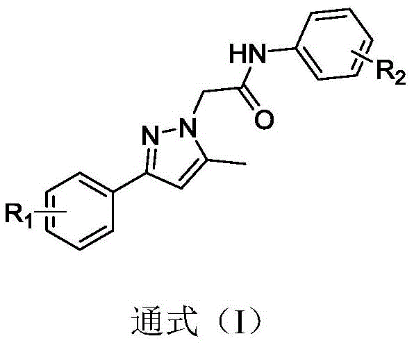 General Formula I of 1,3-disubstituted pyrazole derivatives showing variable R1 and R2 substituents