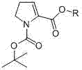 General chemical structure of 1-Boc-4,5-pyrroline-2-carboxyl compounds showing variable R groups