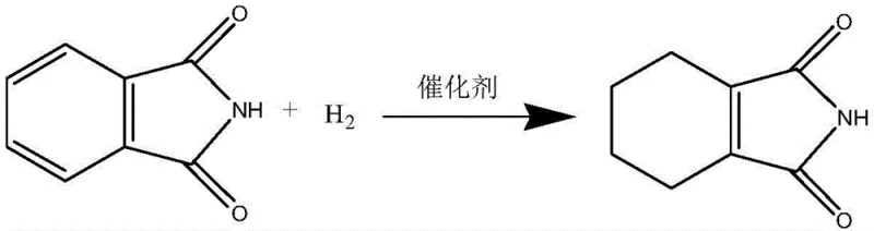 New selective hydrogenation reaction converting phthalimide to 1-cyclohexene-1,2-dicarboximide