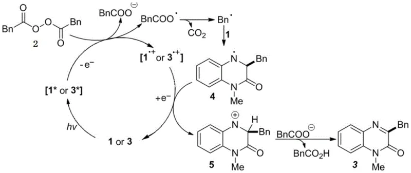 Detailed catalytic cycle mechanism showing electron transfer and radical generation steps