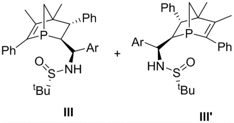Chemical structure of 1-phospha norbornene chiral phosphine catalysts III and III' showing the rigid bicyclic framework