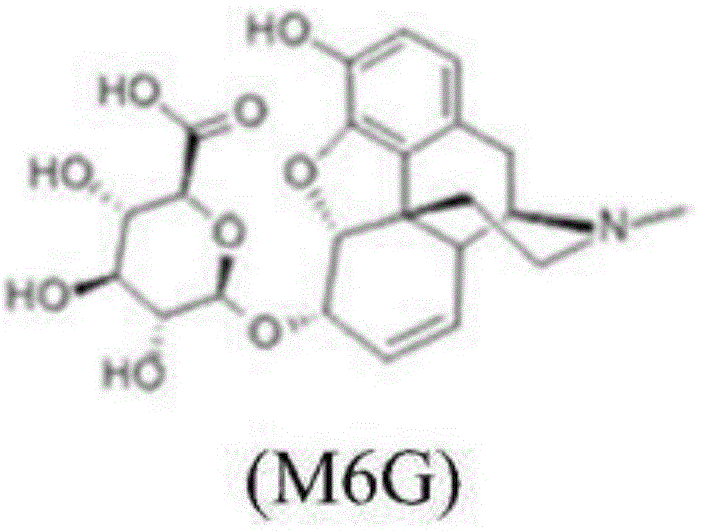 Chemical structure of Morphine-6-Glucuronide (M6G) showing the core opioid backbone and glucuronide moiety
