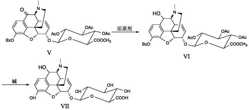Reaction pathway for 10-hydroxymorphine-6-glucuronide involving reduction of the ketone intermediate