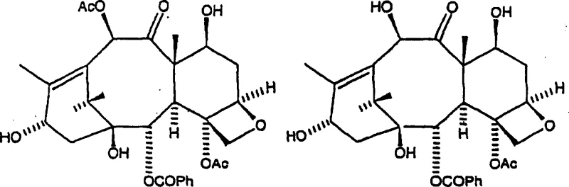 Chemical structures comparing Baccatin III and 10-DAB III showing the structural differences at the C-10 position relevant to the hydrazinolysis process