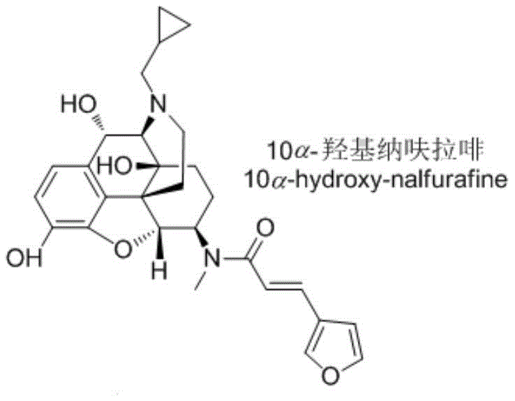 Chemical structure of 10α-hydroxynalfurafine showing the morphinan backbone and furan side chain