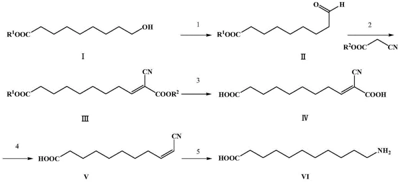 Overall synthetic route from 9-hydroxynonanoate to 11-aminoundecanoic acid via oxidation, condensation, decarboxylation and hydrogenation