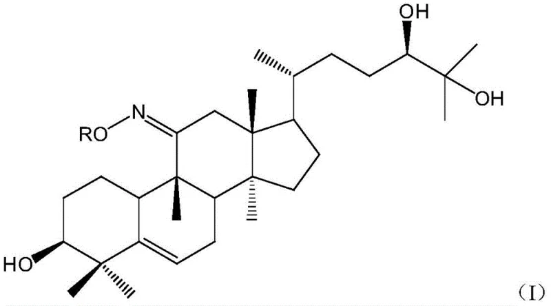 General structural formula of 11-O-mogrol oxime ether derivatives showing variable R groups