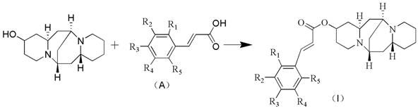 General synthesis route showing esterification of 13-hydroxy cytisine with cinnamic acid derivatives