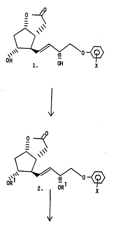 Reaction scheme showing the initial steps from phenoxylactone to protected aldehyde intermediate