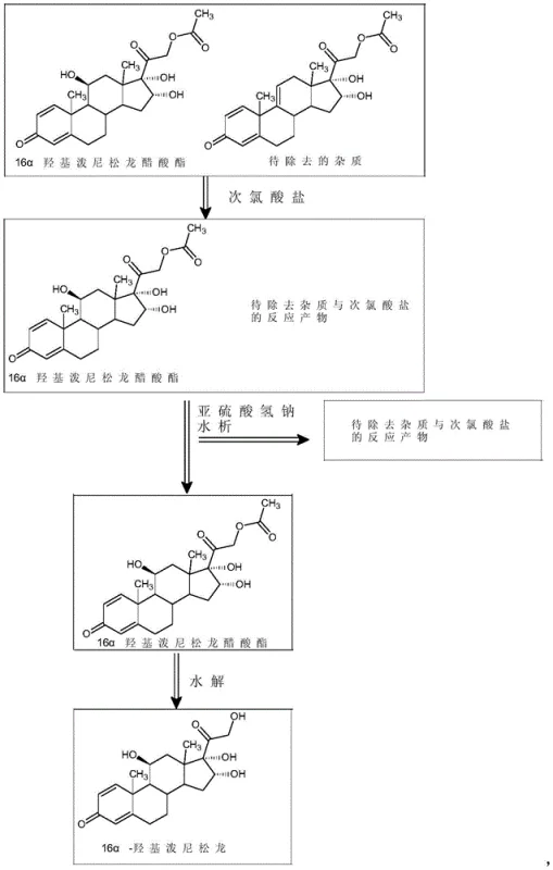 Process flow diagram showing hypochlorite treatment, purification, and hydrolysis to final product