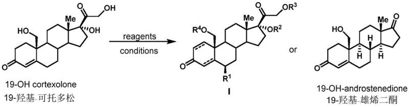 General reaction scheme showing the conversion of 19-hydroxycortodoxone into various derivatives and 19-hydroxyandrostenedione