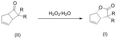 Reaction scheme showing the enantioselective Baeyer-Villiger oxidation of substituted bicyclo[3.2.0]-hept-2-en-6-one to (1S,5R)-lactone using H2O2 and chiral catalyst