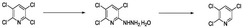 Reaction scheme showing the conversion of 2,3,5,6-tetrachloropyridine to 2,3,5-trichloropyridine via a hydrazino intermediate