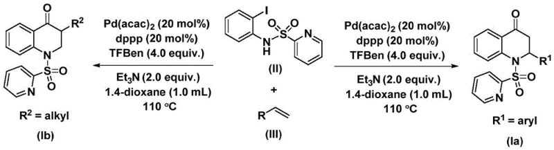 General reaction scheme showing the Pd-catalyzed carbonylation of N-pyridine sulfonyl-o-iodoaniline with olefins to form substituted 2,3-dihydroquinolones