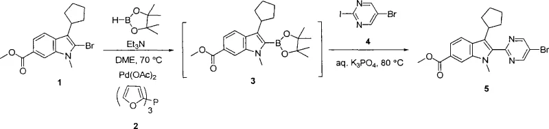 One-pot Borylation and Suzuki Coupling reaction scheme showing conversion of bromoindole to disubstituted indole