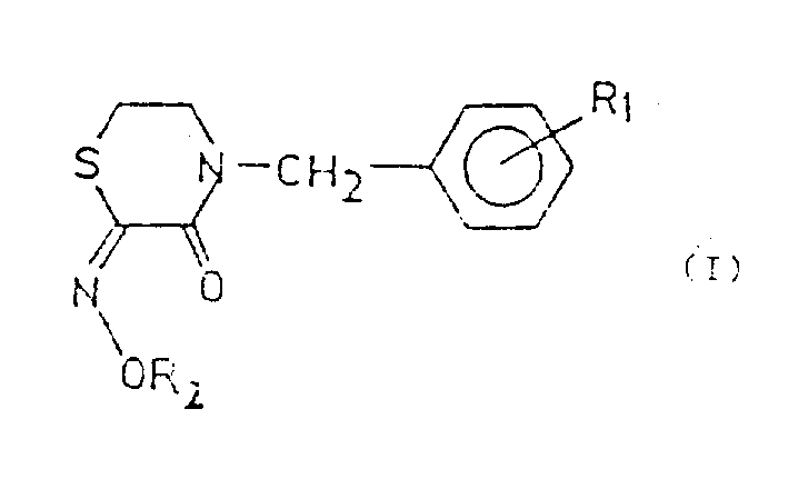 General Formula I of 2,3-thiomorpholine diketone-2-oxime derivatives showing variable R1 and R2 substituents
