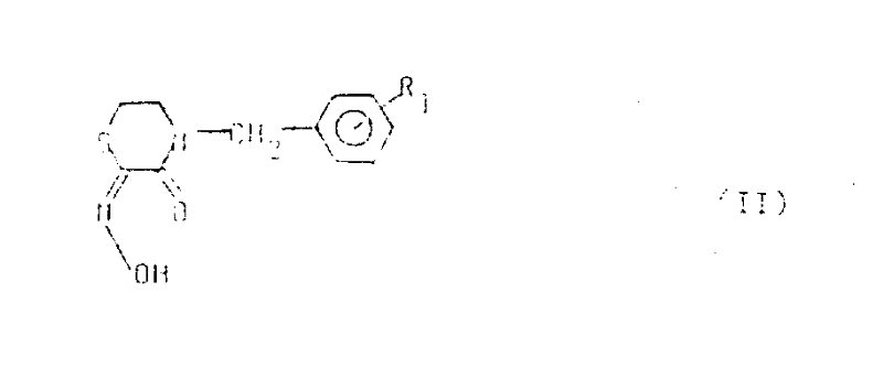 Chemical structure of Formula II intermediate 2,3-thiomorpholine diketone-2-oxime