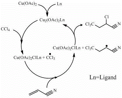 Catalytic cycle mechanism showing copper complex interaction with CCl4 and acrylonitrile