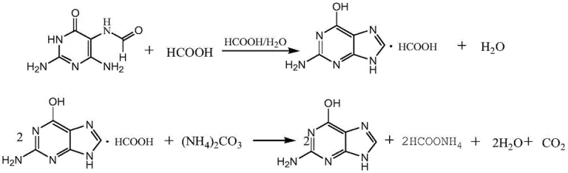 Cyclization of 2,4-diamino-6-hydroxy-5-formamidopyrimidine to Guanine in Formic Acid