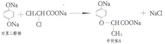 Reaction between disodium hydroquinone and sodium 2-chloropropionate forming Intermediate A