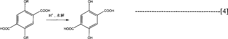 Reaction scheme showing Grignard reagent formation from dihalo-dialkoxy benzene followed by CO2 carboxylation and acid hydrolysis to yield 2,5-dihydroxy terephthalic acid
