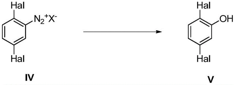 General reaction scheme showing the conversion of 2,5-dihalodiazonium salt (IV) to 2,5-dihalophenol (V) under high temperature and acid concentration