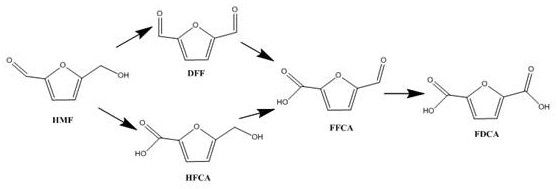 Oxidation pathway from 5-HMF to 2 5-FDCA showing intermediate by-products DFF HFCA and FFCA