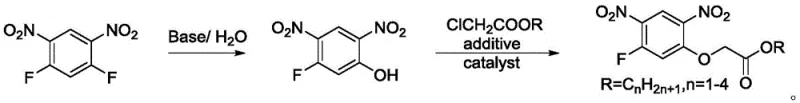 Novel synthetic route for 2-(5-fluoro-2,4-dinitrophenoxy) acetate showing high yield steps
