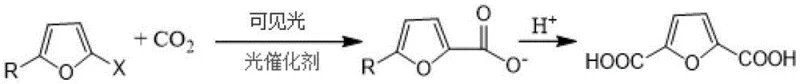 Reaction scheme showing the visible light catalyzed carboxylation of furfural derivatives with CO2 to form 2,5-furandicarboxylic acid
