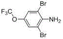 Chemical structure of 2,6-dibromo-4-(trifluoromethoxy)aniline showing the trifluoromethoxy group and dibromo substitution pattern
