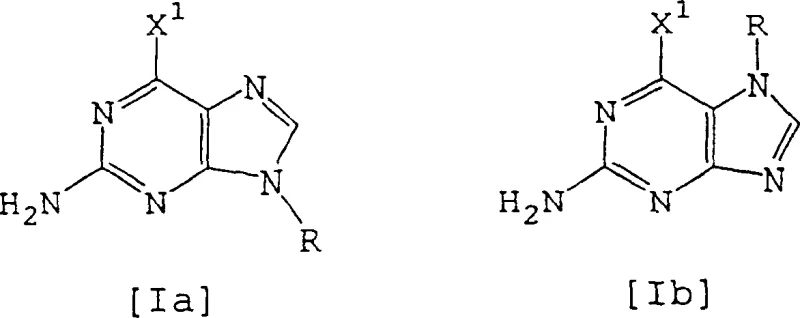 Chemical structures of starting materials Formula Ia and Ib with variable substituents