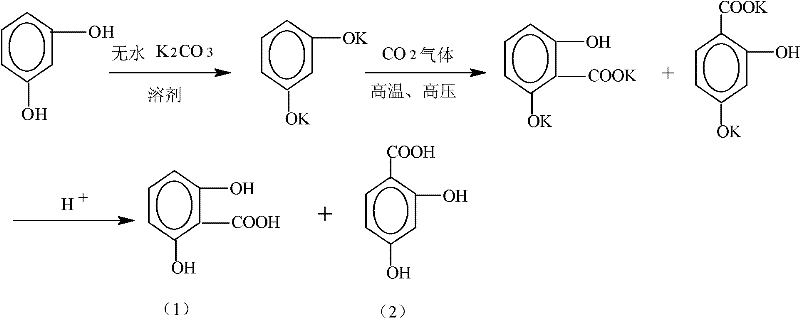Chemical reaction scheme showing the conversion of resorcinol to 2,6-dihydroxybenzoic acid and 2,4-dihydroxybenzoic acid byproduct