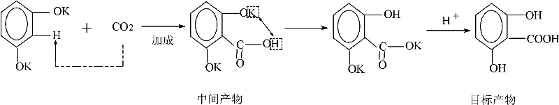 Reaction mechanism diagram illustrating the carboxylation steps of resorcinol with CO2 to form the target acid