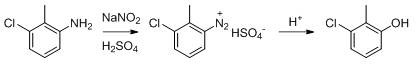 Microchannel reactor diazotization mechanism converting amine to phenol intermediate