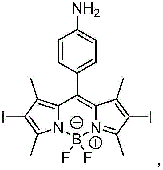 Chemical structure of Compound III, the final 2,6-diiodo BODIPY derivative with an amino group