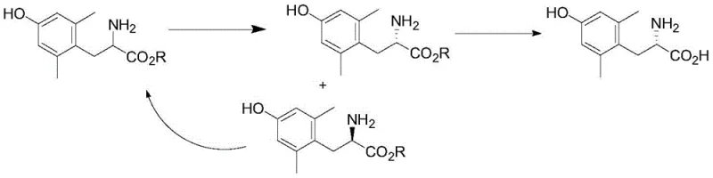 Reaction scheme showing the dynamic kinetic resolution process from racemic ester to L-tyrosine via double salt formation and hydrolysis