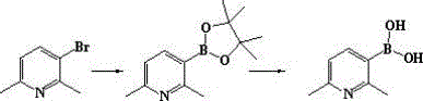 Reaction scheme showing the one-pot conversion of 2,6-dimethyl-3-bromopyridine to the boronic acid via a pinacol ester intermediate